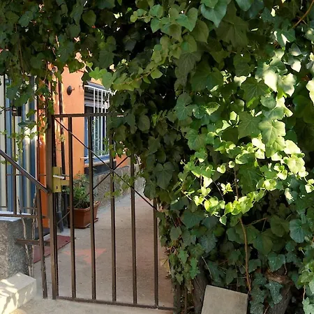 Quiet Garden With Terrace Near Center Lejlighed *