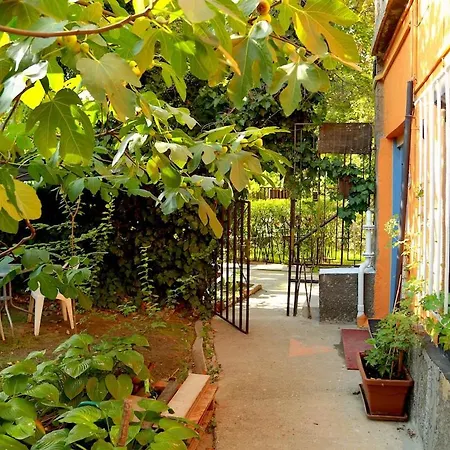 Quiet Garden With Terrace Near Center Lejlighed Budapest