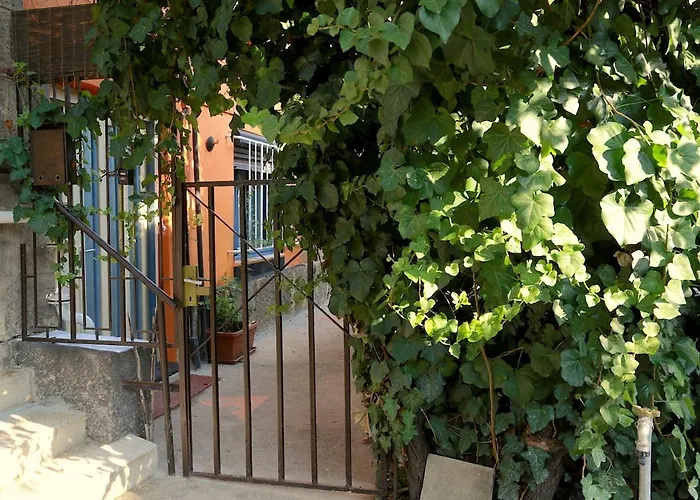 Quiet Garden With Terrace Near Center Apartment *